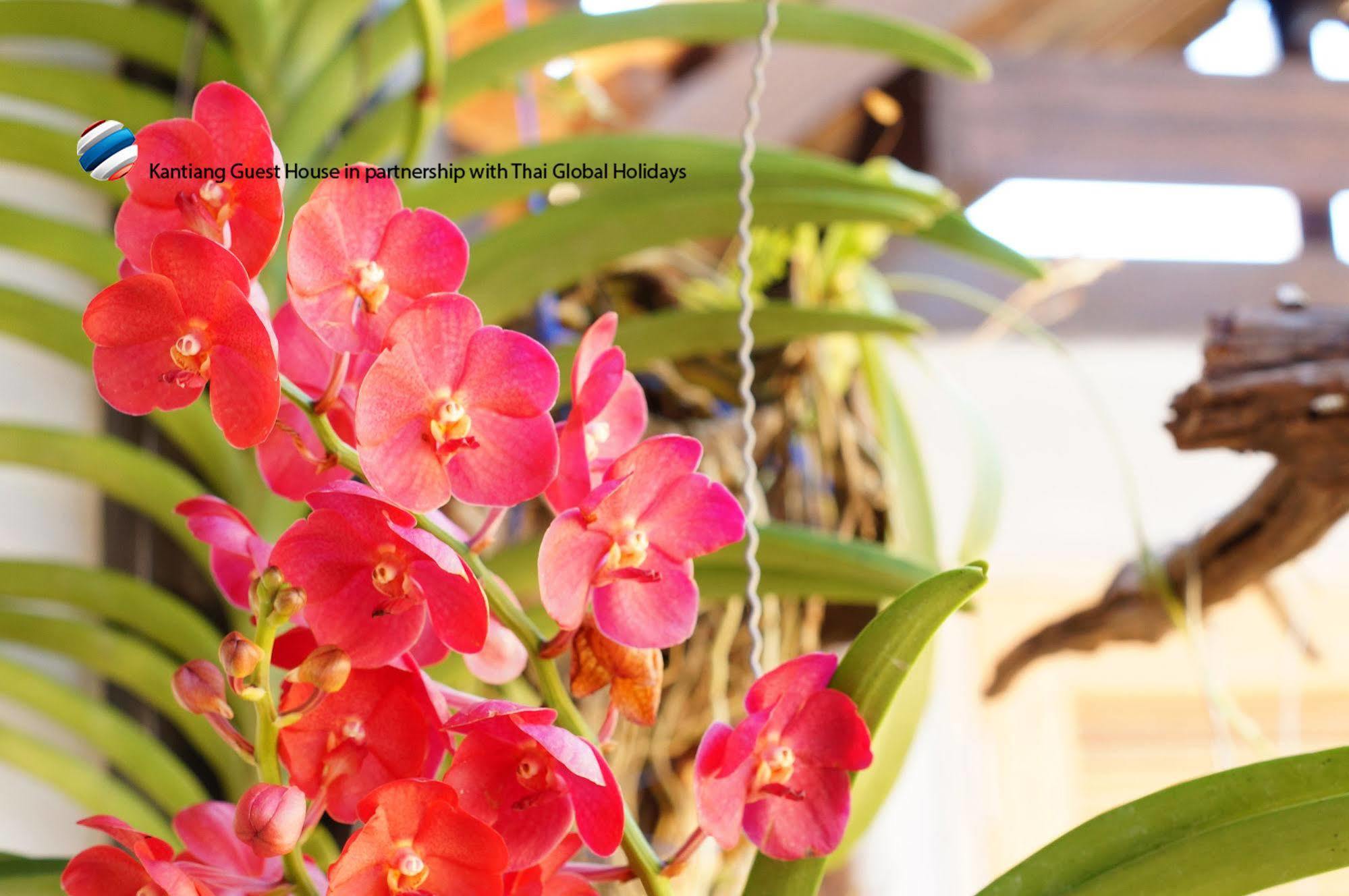 Kantaing Boutique Guest House Ko Lanta المظهر الخارجي الصورة